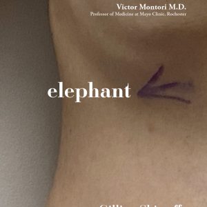 Elephant - Gillian Shirreffs